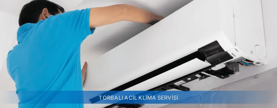 Torbalı İlçemi York Acil Klima Servisi